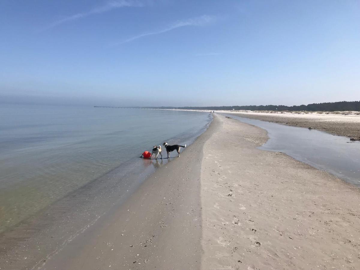 Ferienwohnung Strandperle Prerow Exterior foto